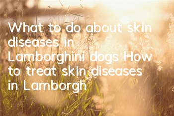 What to do about skin diseases in Lamborghini dogs? How to treat skin diseases in Lamborghinis dogs?