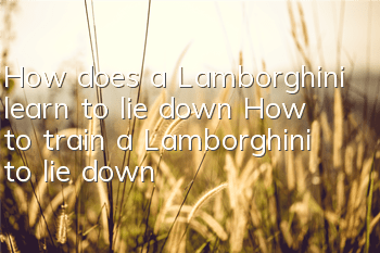 How does a Lamborghini learn to lie down? How to train a Lamborghini to lie down