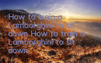 How to train a Lamborghini to sit down How to train a Lamborghini to sit down