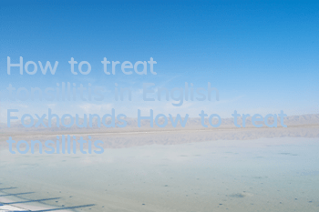 How to treat tonsillitis in English Foxhounds How to treat tonsillitis