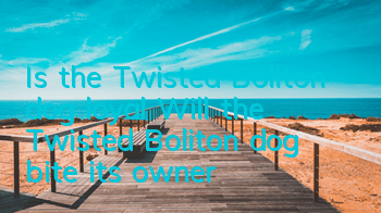 Is the Twisted Boliton dog loyal? Will the Twisted Boliton dog bite its owner?