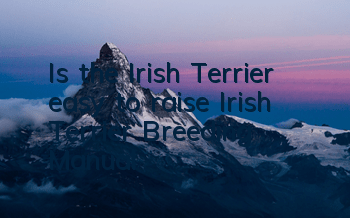 Is the Irish Terrier easy to raise? Irish Terrier Breeding Manual