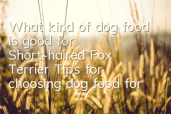 What kind of dog food is good for Short-haired Fox Terrier? Tips for choosing dog food for Short-haired Fox Terrier