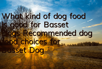 What kind of dog food is good for Basset Dogs? Recommended dog food choices for Basset Dogs