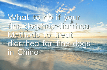 What to do if your fine dog has diarrhea. Methods to treat diarrhea for fine dogs in China.
