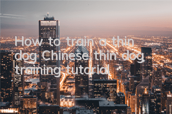 How to train a thin dog Chinese thin dog training tutorial