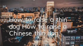 How to raise a thin dog How to raise a Chinese thin dog