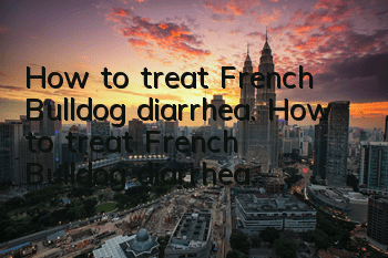 How to treat French Bulldog diarrhea. How to treat French Bulldog diarrhea.