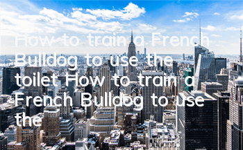 How to train a French Bulldog to use the toilet? How to train a French Bulldog to use the toilet at a fixed location?