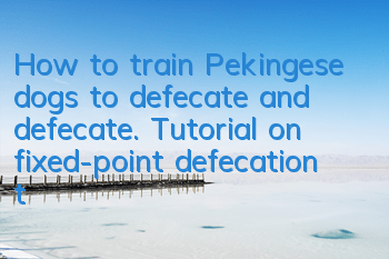 How to train Pekingese dogs to defecate and defecate. Tutorial on fixed-point defecation training for Pekingese dogs.