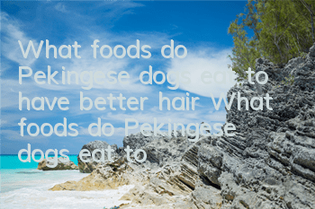What foods do Pekingese dogs eat to have better hair? What foods do Pekingese dogs eat to make their hair shiny?