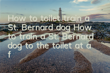 How to toilet train a St. Bernard dog? How to train a St. Bernard dog to the toilet at a fixed location?