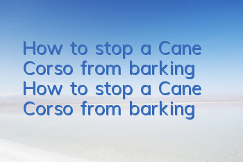 How to stop a Cane Corso from barking? How to stop a Cane Corso from barking?
