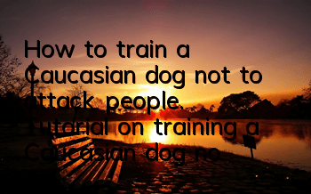 How to train a Caucasian dog not to attack people. Tutorial on training a Caucasian dog not to bite.