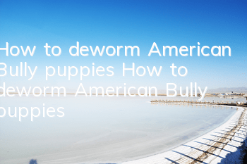 How to deworm American Bully puppies How to deworm American Bully puppies