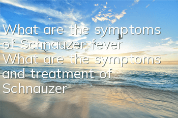 What are the symptoms of Schnauzer fever? What are the symptoms and treatment of Schnauzer fever?