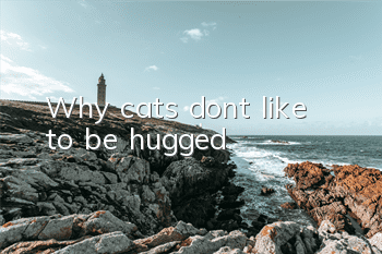 TWhy cats don’t like to be hugged