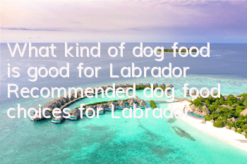 What kind of dog food is good for Labrador? Recommended dog food choices for Labrador