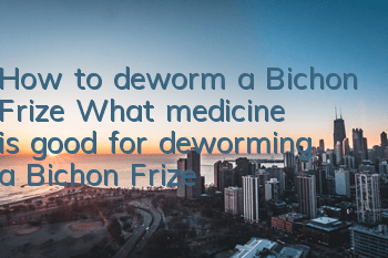 How to deworm a Bichon Frize? What medicine is good for deworming a Bichon Frize?