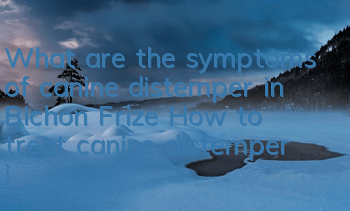 What are the symptoms of canine distemper in Bichon Frize? How to treat canine distemper in Bichon Frize?