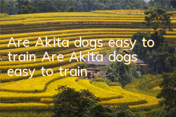 Are Akita dogs easy to train? Are Akita dogs easy to train?