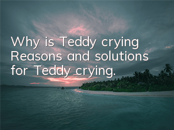 Why is Teddy crying? Reasons and solutions for Teddy crying.