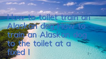 How to toilet train an Alaskan dog? How to train an Alaskan dog to the toilet at a fixed location?