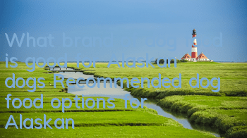 What brand of dog food is good for Alaskan dogs? Recommended dog food options for Alaskan dogs