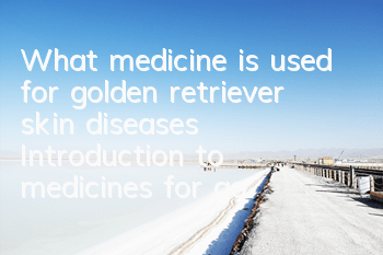 What medicine is used for golden retriever skin diseases? Introduction to medicines for golden retriever dog skin diseases