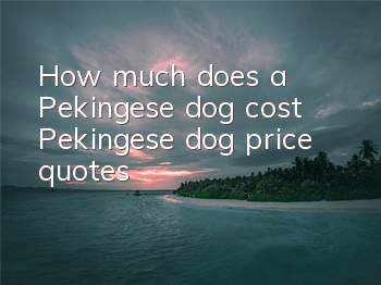 How much does a Pekingese dog cost? Pekingese dog price quotes