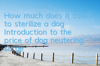 How much does it cost to sterilize a dog? Introduction to the price of dog neutering surgery