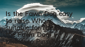 Is the Fawn Dog easy to raise? Who is suitable for raising the Fawn Dog (Miniature Pinscher)?