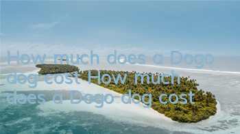 How much does a Dogo dog cost? How much does a Dogo dog cost?
