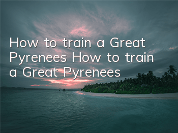 How to train a Great Pyrenees How to train a Great Pyrenees