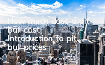 How much does a pit bull cost? Introduction to pit bull prices
