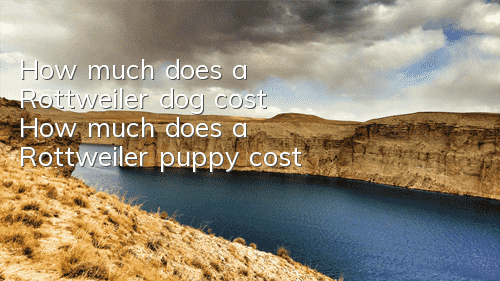 How much does a Rottweiler dog cost? How much does a Rottweiler puppy cost?