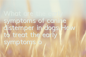 What are the early symptoms of canine distemper in dogs? How to treat the early symptoms of canine distemper