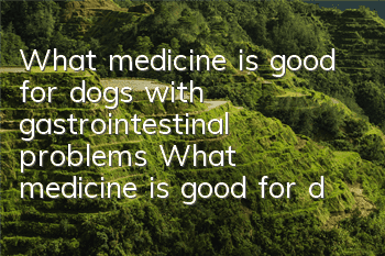 What medicine is good for dogs with gastrointestinal problems? What medicine is good for dogs with gastroenteritis?