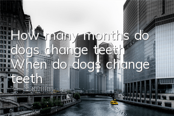 How many months do dogs change teeth? When do dogs change teeth?