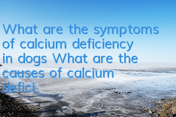What are the symptoms of calcium deficiency in dogs? What are the causes of calcium deficiency in dogs? How to treat them?