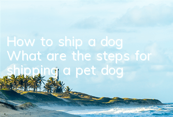 How to ship a dog? What are the steps for shipping a pet dog?