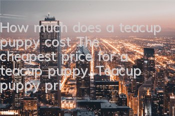 How much does a teacup puppy cost? The cheapest price for a teacup puppy. Teacup puppy price introduction