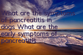 What are the symptoms of pancreatitis in dogs? What are the early symptoms of pancreatitis in dogs?