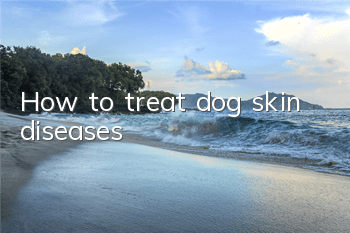 How to treat dog skin diseases