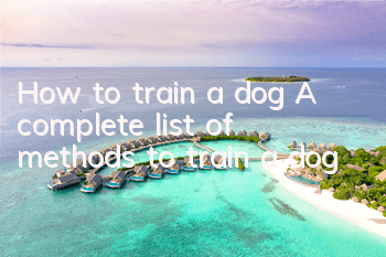 How to train a dog? A complete list of methods to train a dog