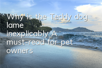 TWhy is the Teddy dog ​​lame inexplicably? A must-read for pet owners!