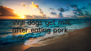 TWill dogs get milk after eating pork liver?