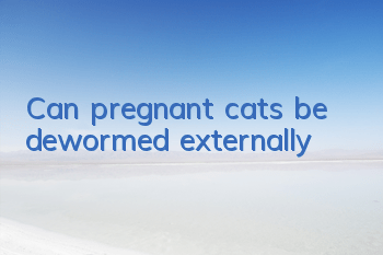 TCan pregnant cats be dewormed externally?