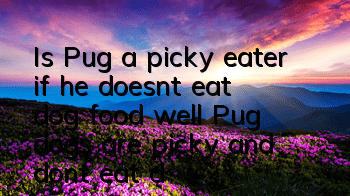 TIs Pug a picky eater if he doesn’t eat dog food well? Pug dogs are picky and don’t eat dog food!