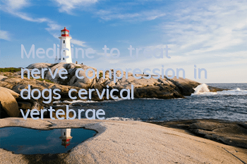 TMedicine to treat nerve compression in dogs’ cervical vertebrae